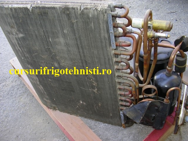 Demontat externa si spalat cu vermorelul.jpg