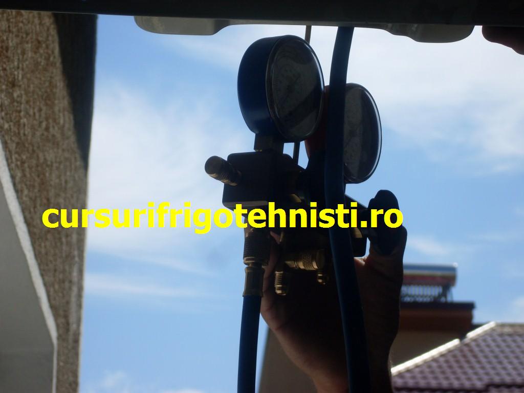 SDC11215 (Custom).JPG