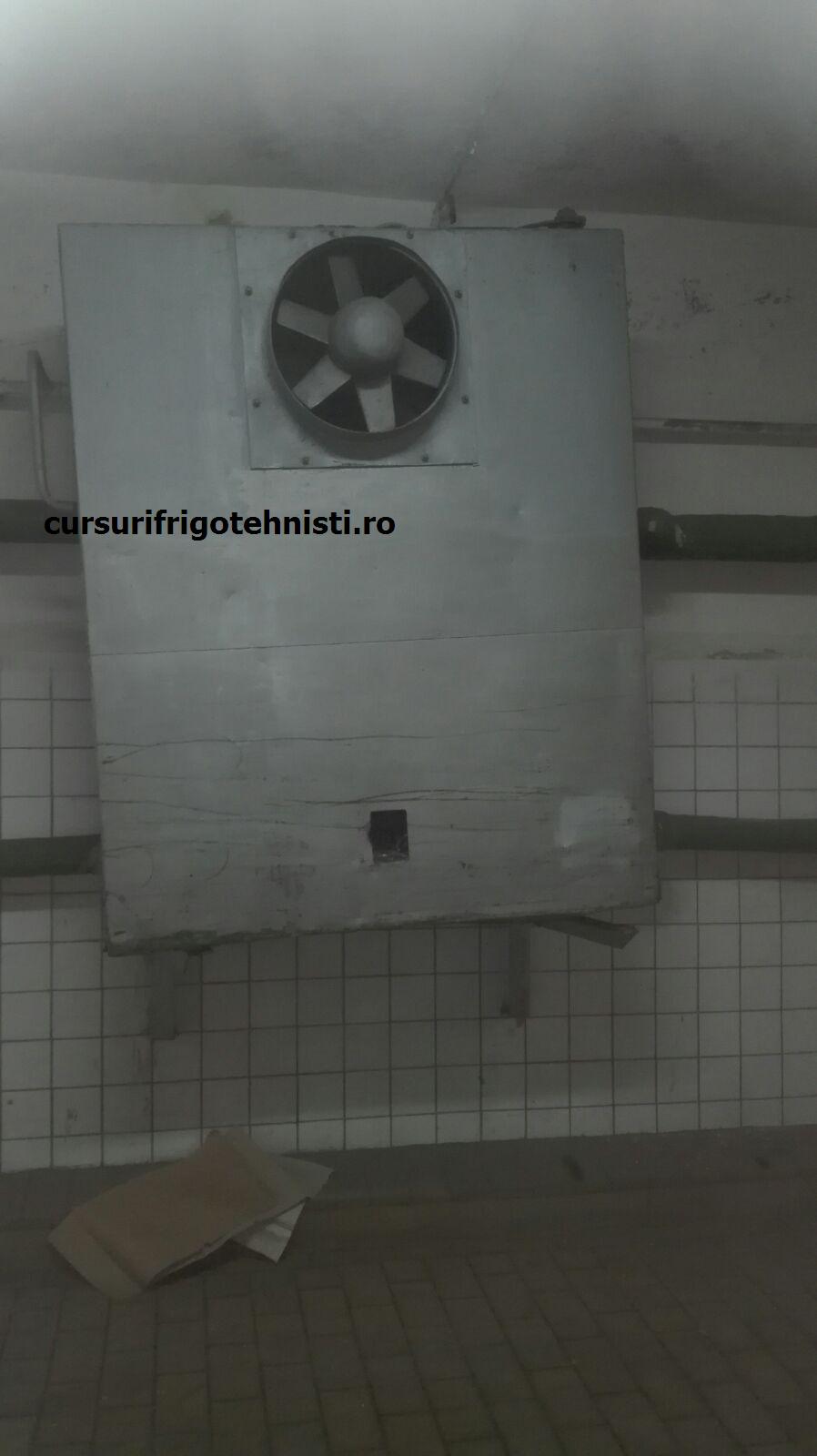 Tevi corpuri de racit.jpg