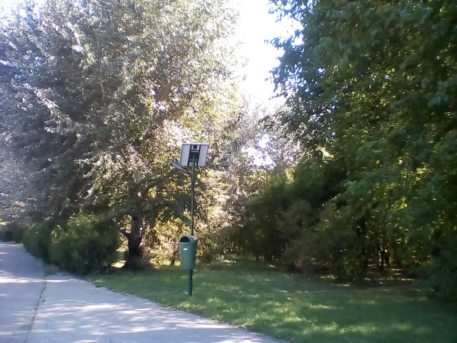 panou fotovoltaic orientat in pomi.jpg