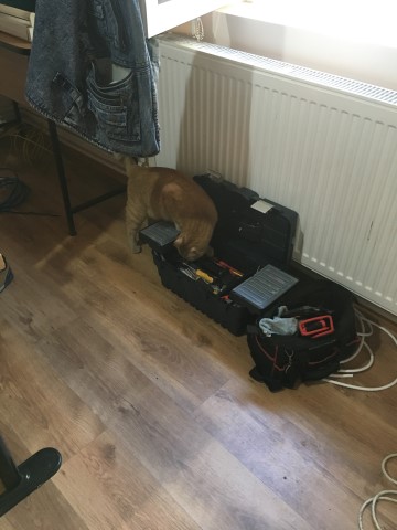 Si aici avem inca un bun electrician , cred ca pregateste sculele sa fixeze un tablou electric.JPG