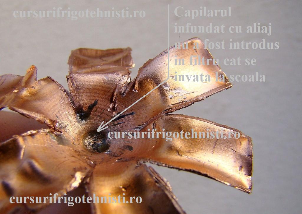 Capilar infundat 03 (Custom).JPG