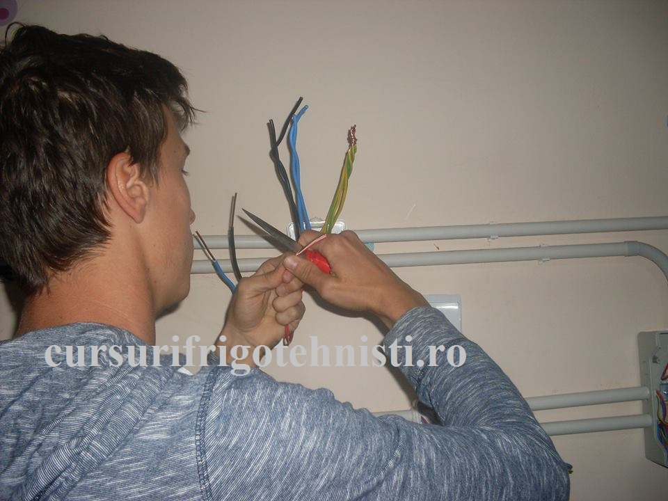 dezizolat conductoare sa facem legaturi in doze.jpg