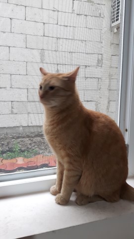 20171007_103320 (Small).jpg