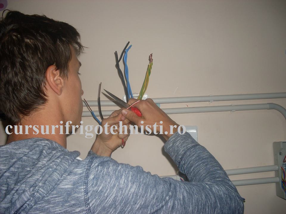 dezizolare conductoare electrice in doza de legaturi.jpg