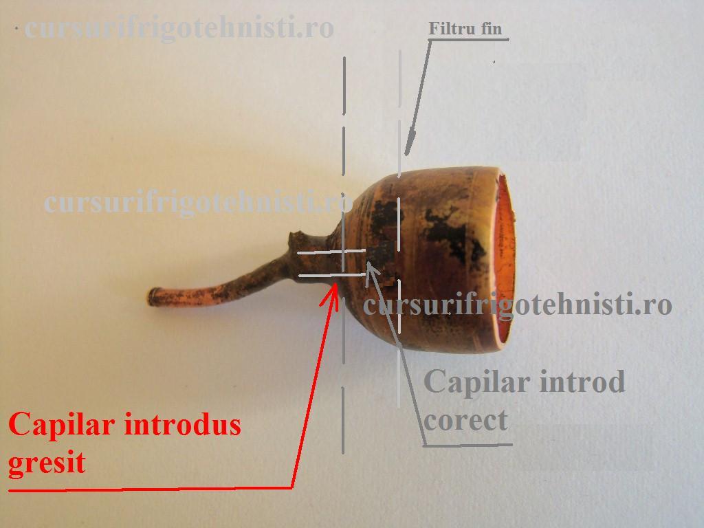 Capilar infundat.JPG