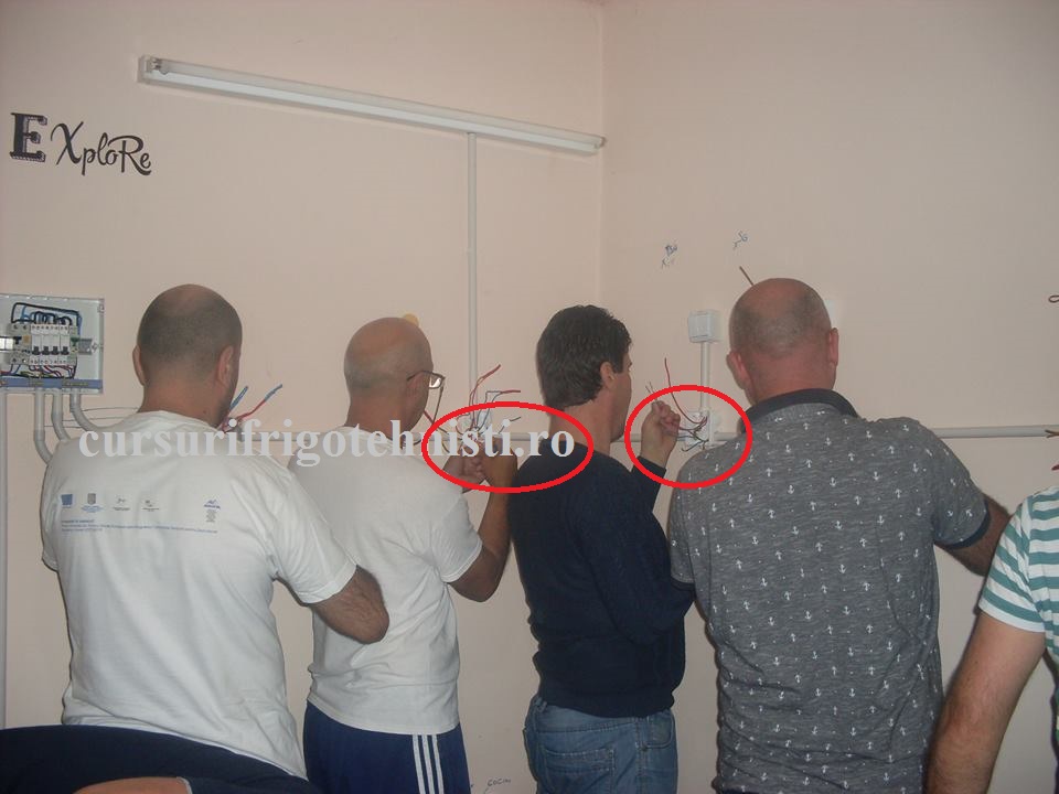 toata grupa invata sa faca un circuit de iluminat.jpg