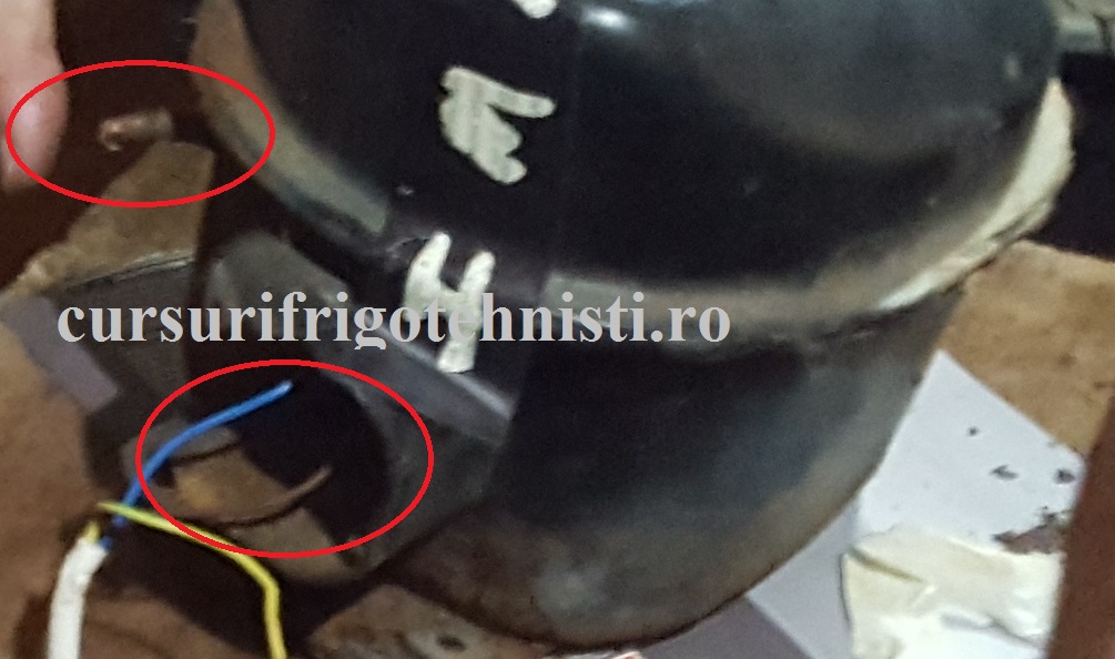 Pornirea pe direct compresor 130W U=230V 50 hz.jpg