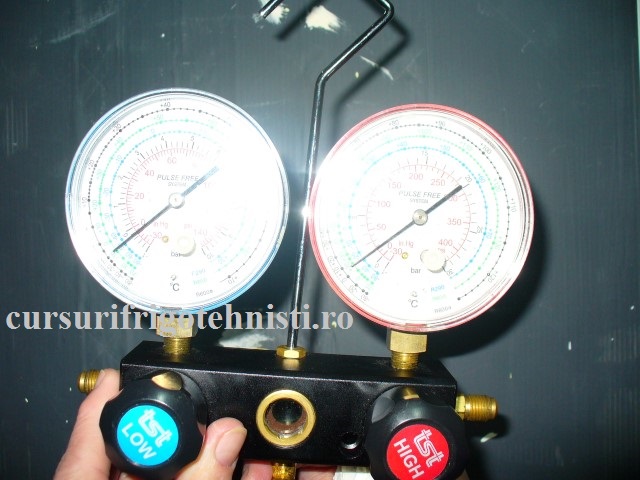 P1250534 (Small).JPG