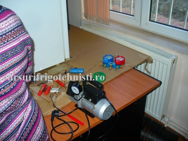 P1250536 (Small).JPG