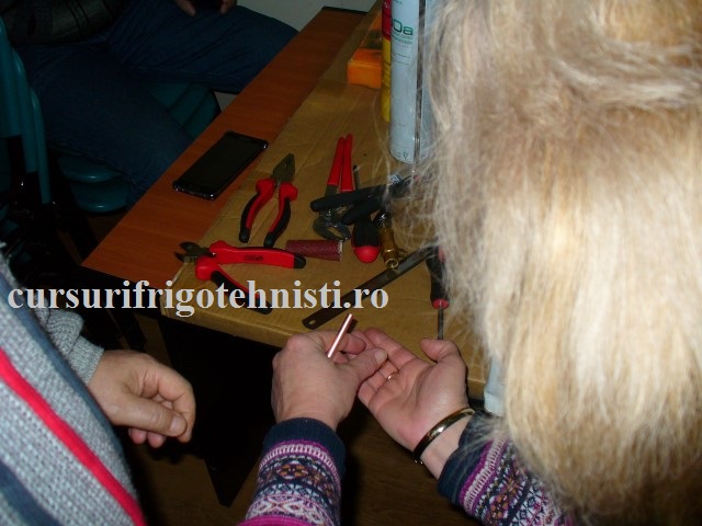 P1250543 (Small).JPG