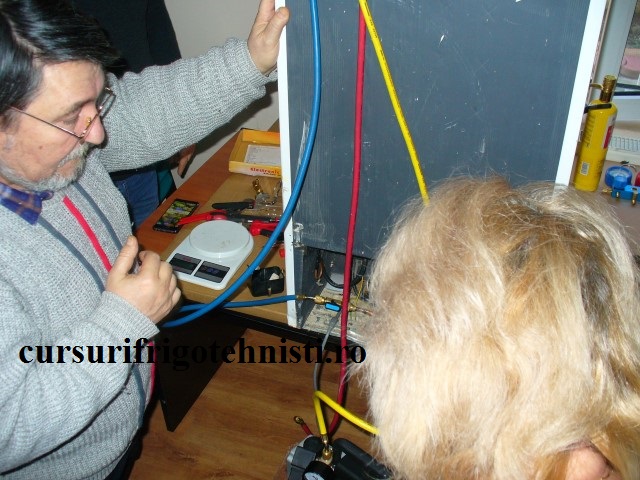 P1250566 (Small).JPG