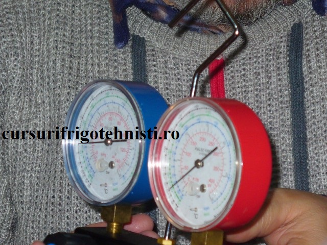 P1250571 (Small).JPG