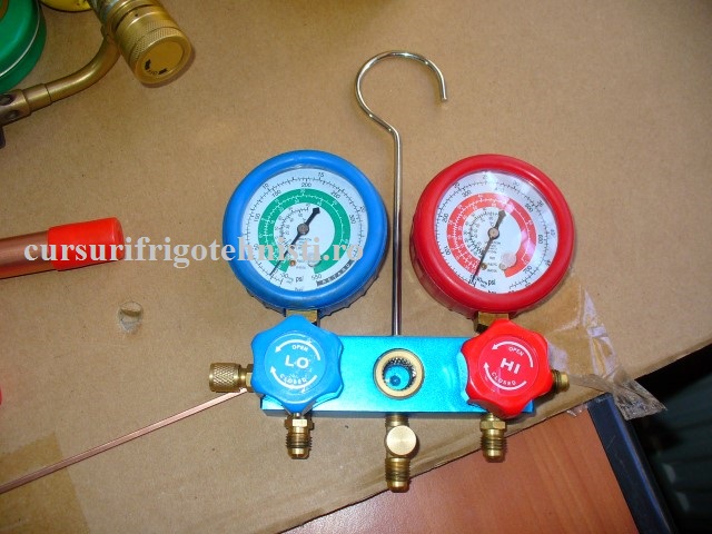 P1250573 (Small).JPG