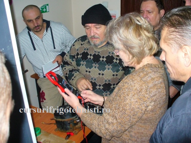 P1250583 (Small).JPG