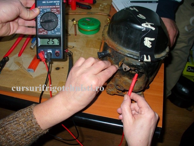 P1250586 (Small).JPG