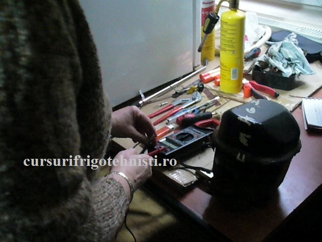 P1250587 (Small).JPG