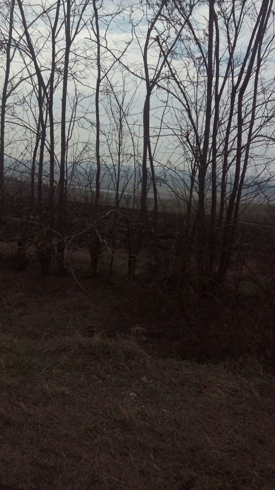 Pe aici au trecut Trupele Romane Prutul.jpg