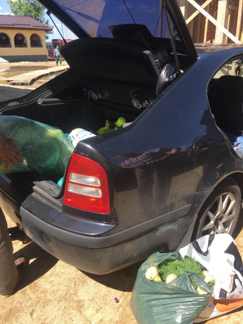 Amarata de skoda a venit indoita plina de alimente %28Small%29.JPG