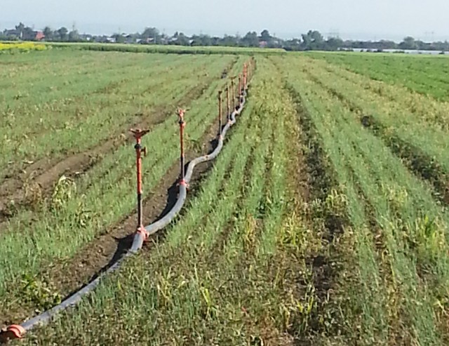 irigatii cu aspersoare presiunea o da pompa.jpg