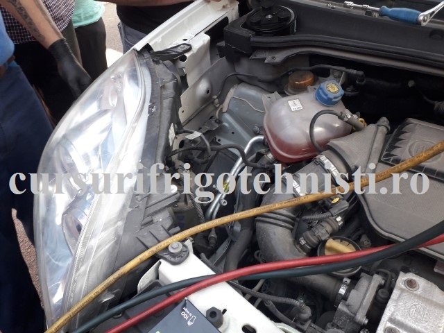 20180523_182646 (Small).jpg