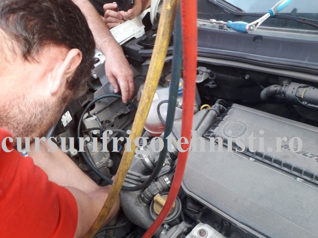 20180523_182933 (Small).jpg