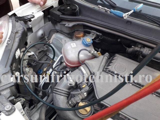 20180523_183003 (Small).jpg