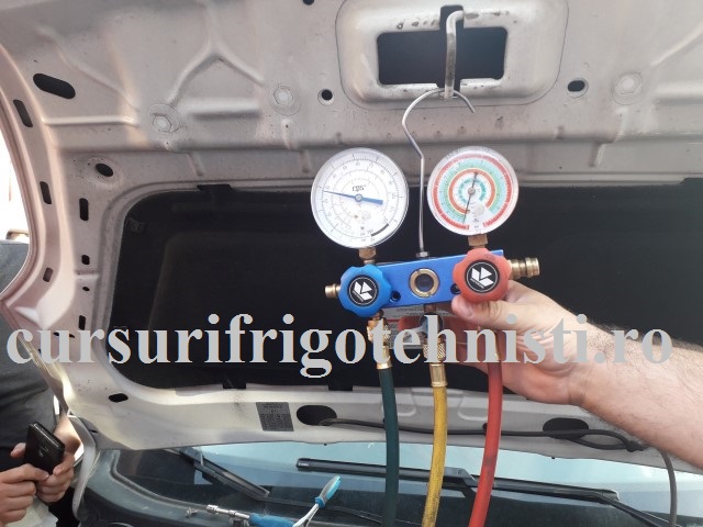 20180523_183114 (Small).jpg