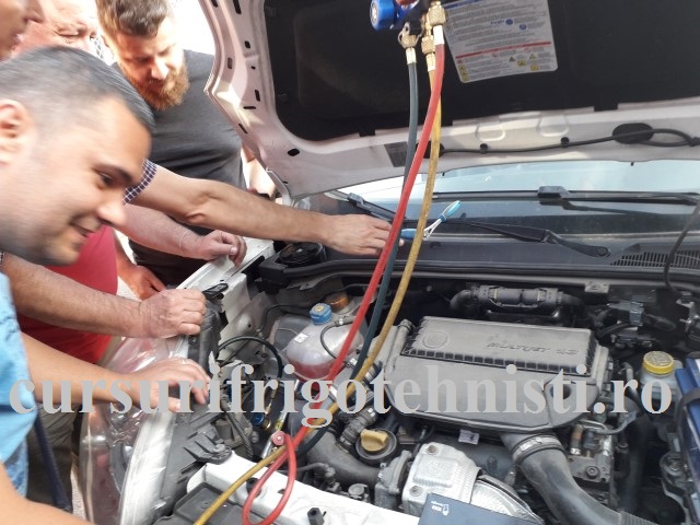 20180523_183457 (Small).jpg