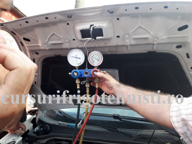 20180523_183513 (Small).jpg