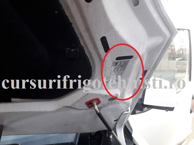 20180523_183933 (Small).jpg