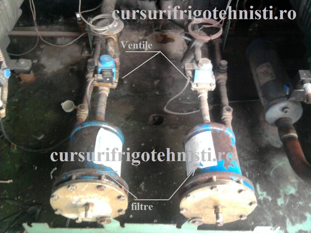 Fotografie0023 (Custom).jpg