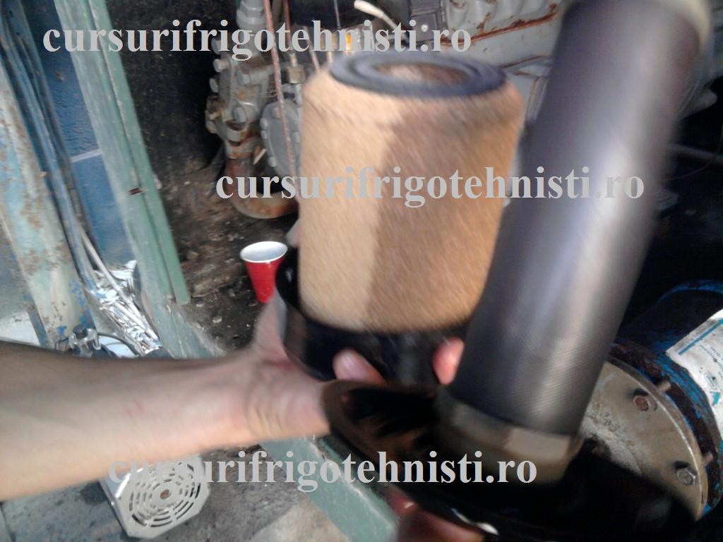 Fotografie0038 (Custom).jpg