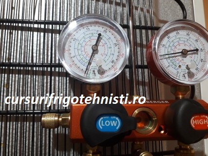 20180806_124645 (Mobile).jpg