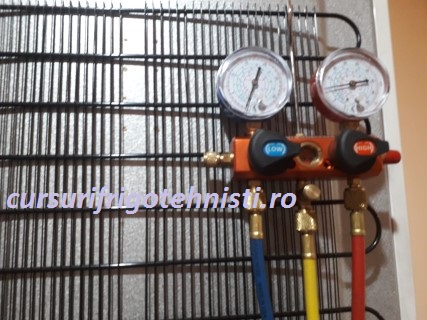 20180806_124640 (Mobile).jpg