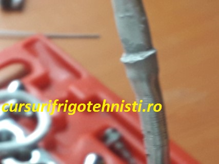 20180904_125209 (Mobile).jpg