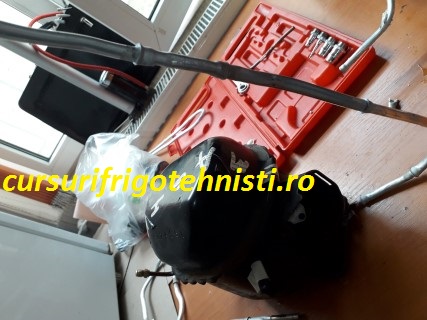 20180904_141018 (Mobile).jpg