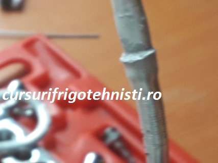 20180904_125209 (Mobile).jpg