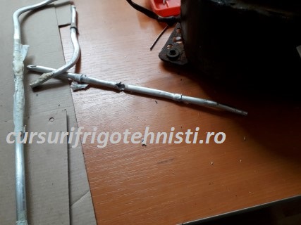 20180904_141022 (Mobile).jpg