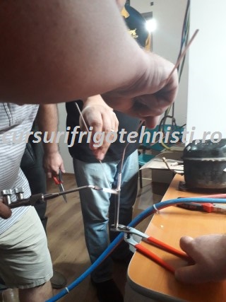 20180905_125106 (Mobile).jpg