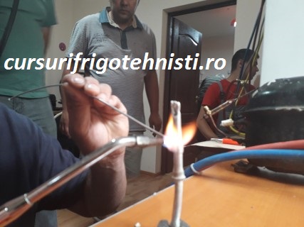 20180905_125410 (Mobile).jpg