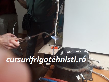 20180905_125557 (Mobile).jpg