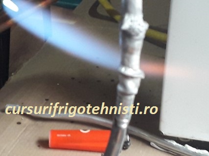 20180905_125655 (Mobile).jpg