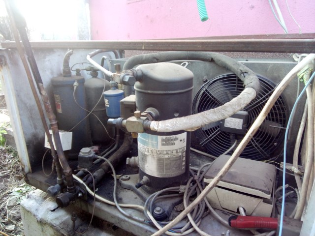 DANIEL IORDAN (Small).jpg