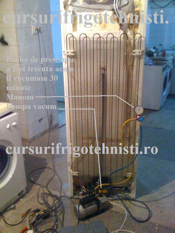 IMG_0217 (Custom).jpg