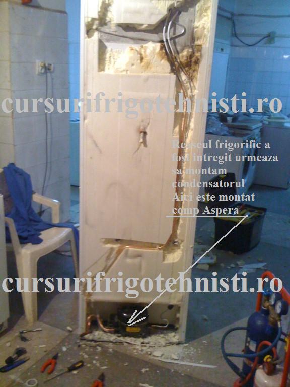 IMG_0215 (Custom).jpg