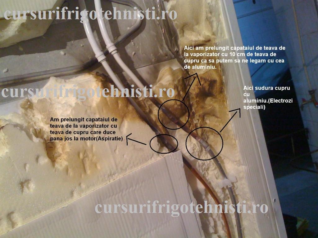 IMG_0209(2) (Custom).JPG