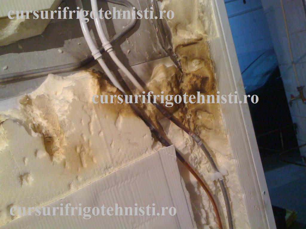 IMG_0209 (Custom).jpg