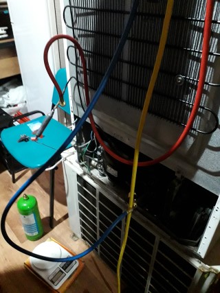 20190212_114028 (Mobile).jpg