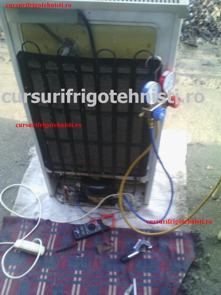 Banii se castiga in aer liber fara stres.jpg